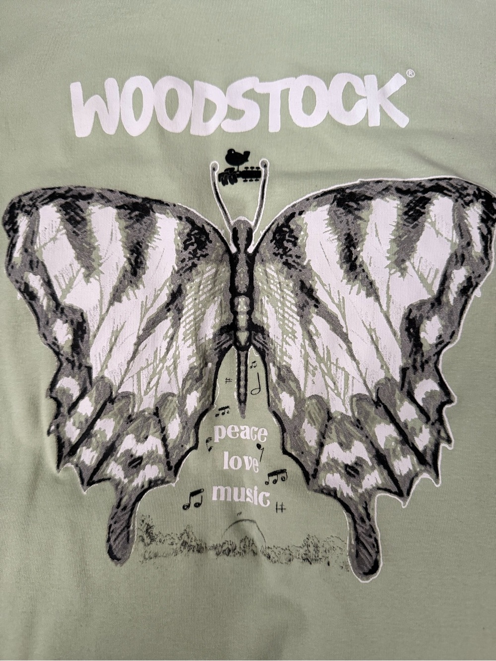 Woodstock Kids' Light Green Butterfly Graphic Tee